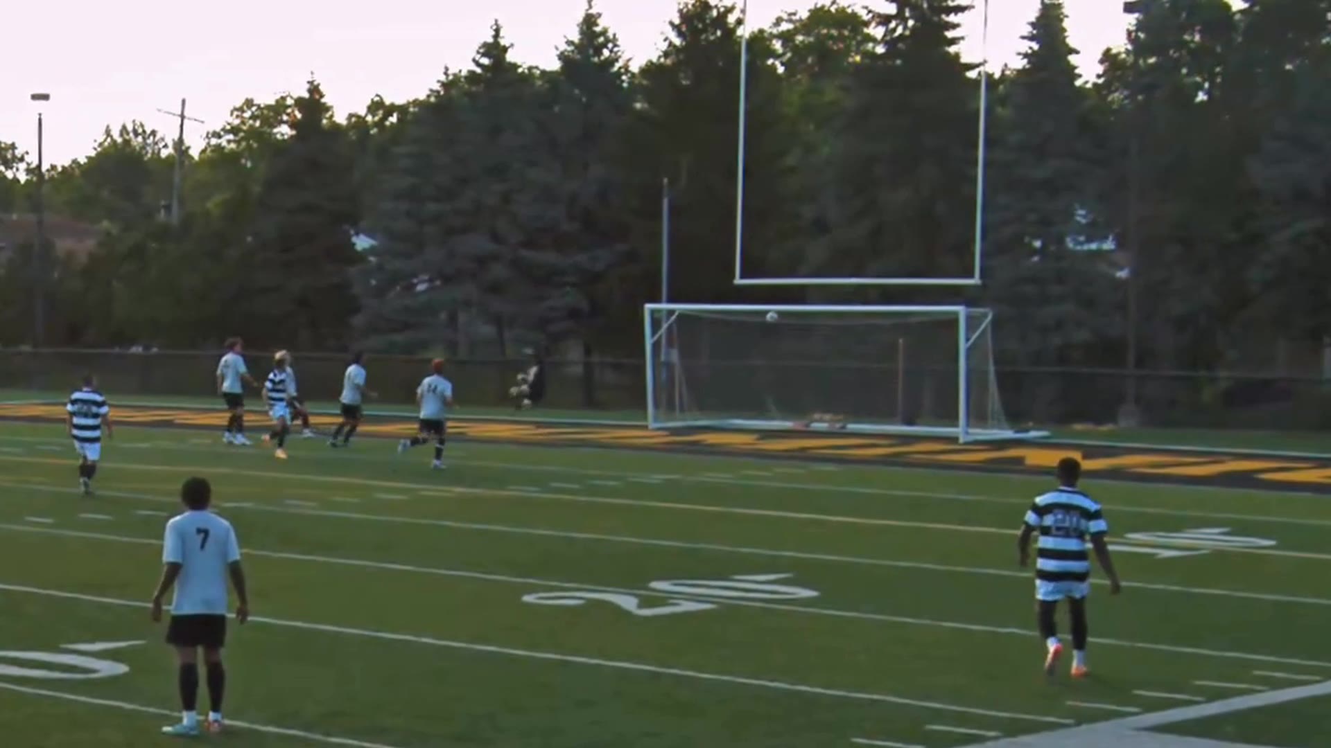 Andrej Novakovic. The Raider. Twenty-five yards. 14 Jun 2026